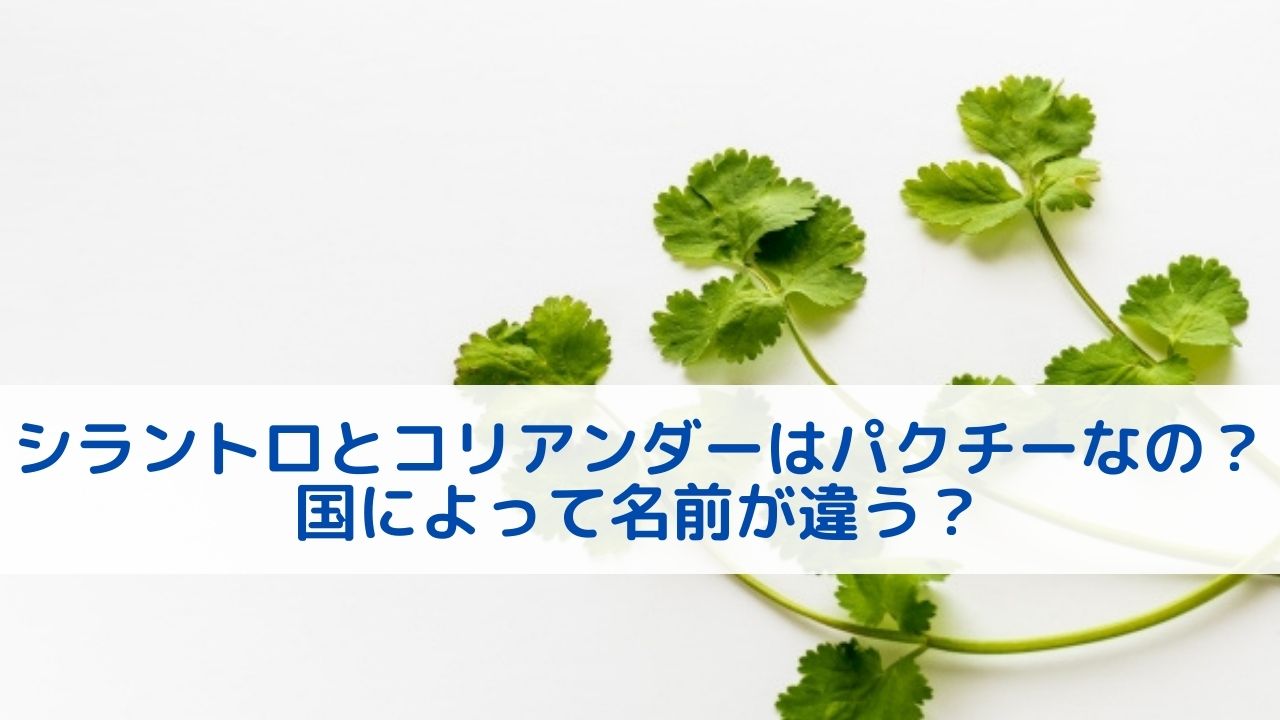 coriander-pakuchi–cilantro-difference